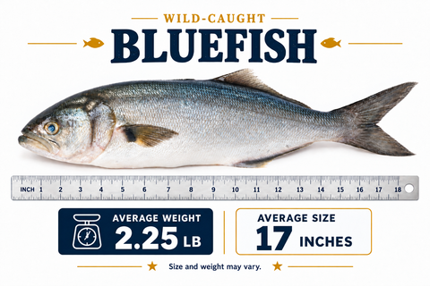 Blue Fish – By Fish
