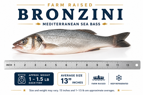 Bronzini – By Fish