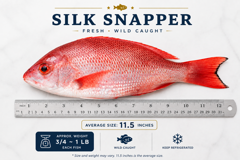 Silk Snapper – By Fish