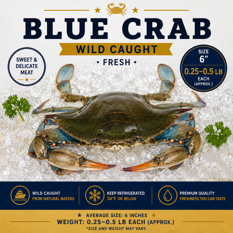 Blue Crab – By Crab