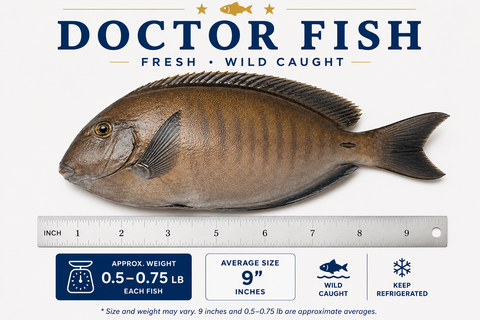 Doctor Fish – By Fish