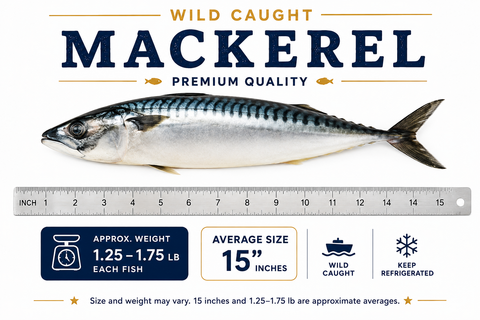 Mackerel – By Fish