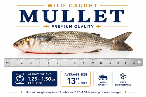 Mullet – By Fish