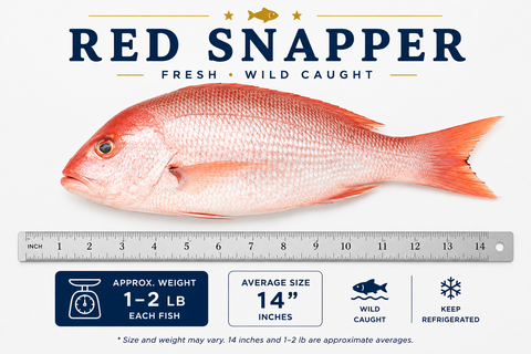 Red Snapper – By Fish