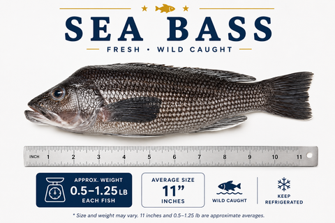 Sea Bass – By Fish