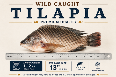 Tilapia – By Fish