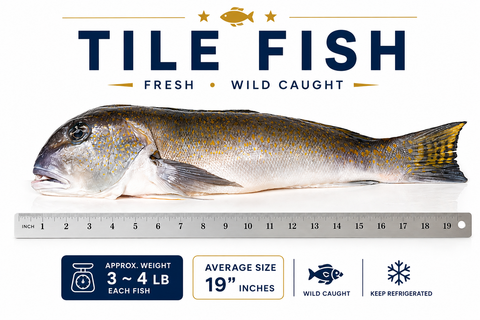Tile Fish – By Fish