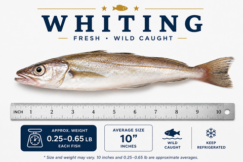 Whiting – By Fish