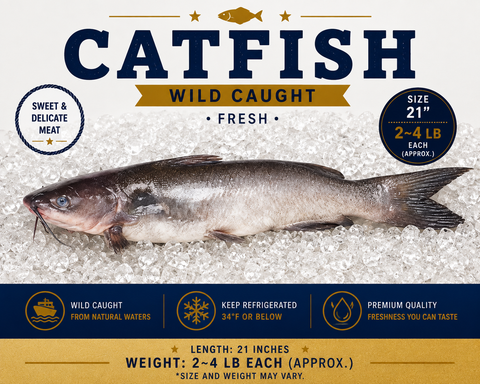Catfish – By Fish