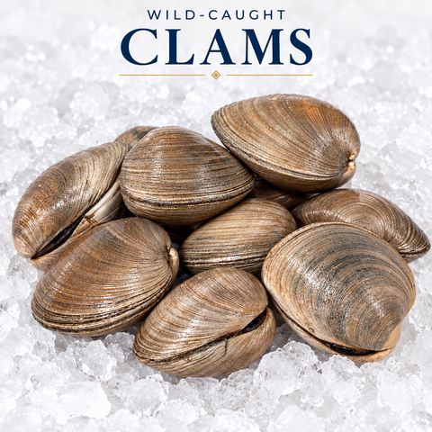 Wild-Caught Clams