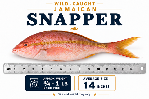 Jamaican Snapper – By Fish