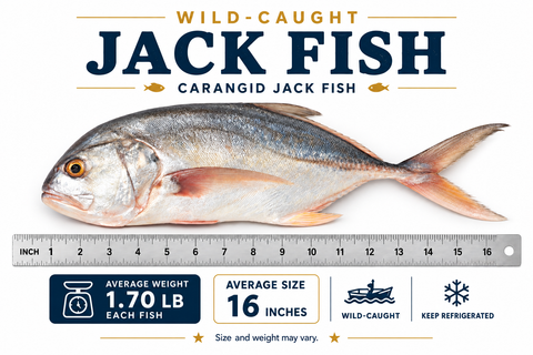 Jack Fish – By Fish