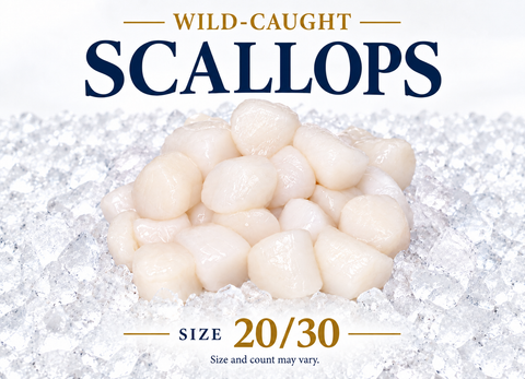 Wild-Caught Scallops – Size 20/30