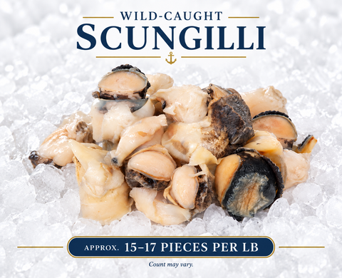 Scungilli Wild-Caught