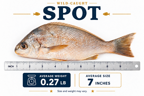 Spot – By Fish